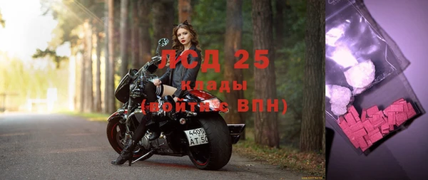 гашик Богданович