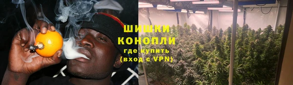 гашик Богданович