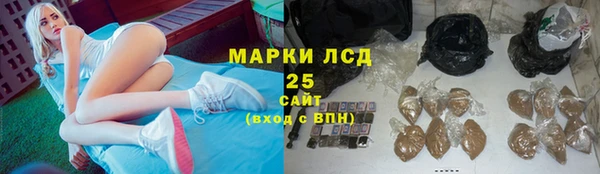 гашик Богданович
