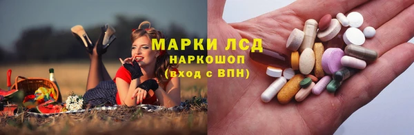 гашик Богданович