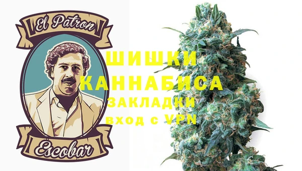 гашик Богданович