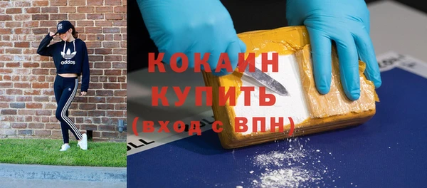 шишки Богородск