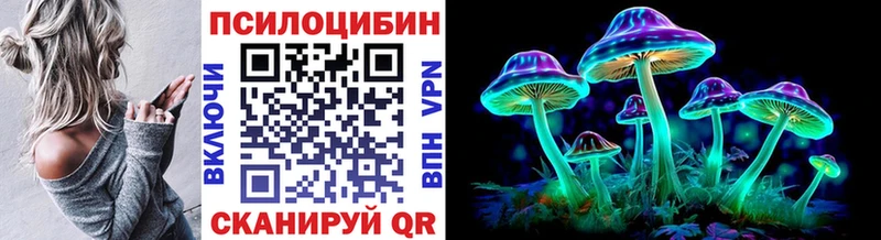 Псилоцибиновые грибы прущие грибы  Бирюч 